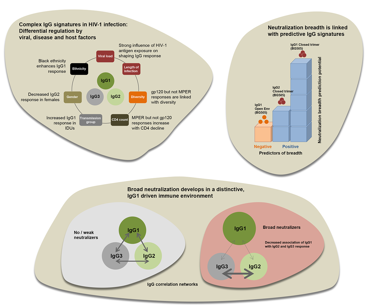 IgG1-driven antibody response landscapes demarcate individuals with broadly HIV-1 neutralizing activity