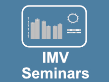 IMV Seminars