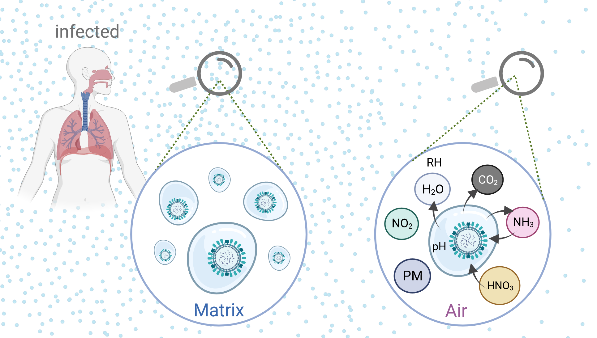 Simplified schematic representation of the physicochemical processes that affect the infectivity of respiratory viruses in the aerosol.