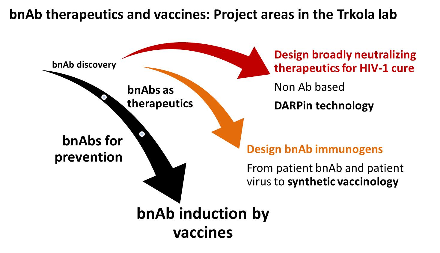 bnAb therapeutics and vaccines: Project areas in the Trkola lab